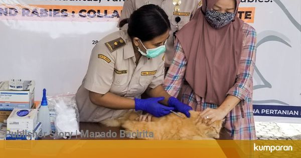  Hari  Rabies Sedunia Anjing dan Kucing di Sulut Disuntik 